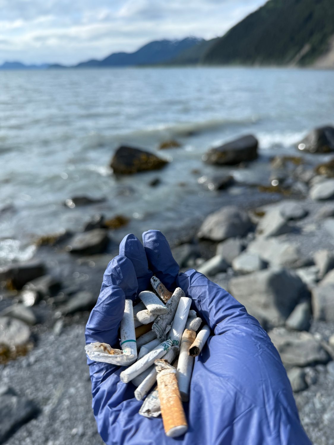 Cigarette butts in Seward