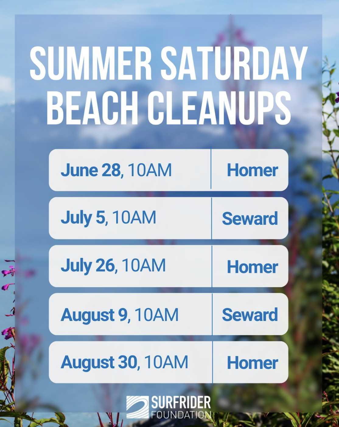 2025CleanupSchedule