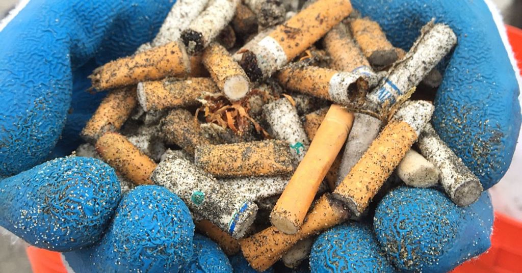 Cig Butts NOAA